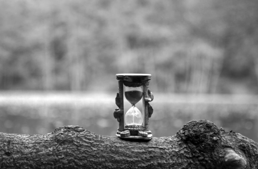 what’s next for Psychopomp